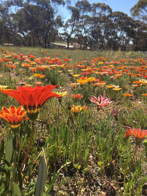 Acclaim Gateway Tourist Park - Accommodation Fremantle 2