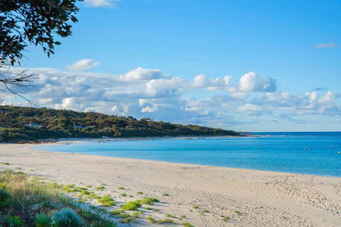 Eagle Bay Summerhaus - Accommodation Fremantle 1