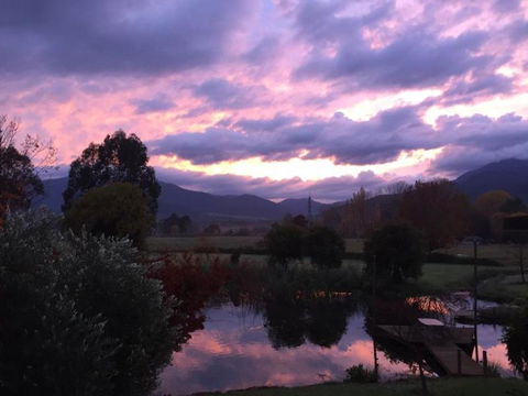 Eco Villa Mt. Beauty-Near Falls Creek & Bright - Accommodation Fremantle 4