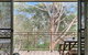 Fiddlers Green 8 Nelson Bay - thumb 4