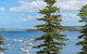 Fine Pine - Beachside Lifestyle With Two Balconies - thumb 3