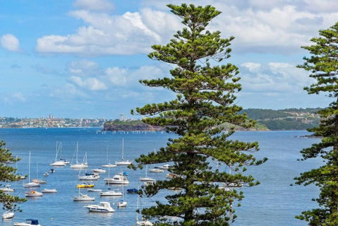 Fine Pine - Beachside Lifestyle With Two Balconies - Accommodation Fremantle 3