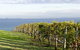 Geelong Serviced Apartments By Short & Long Stays - thumb 1