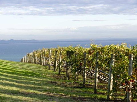 Geelong Serviced Apartments By Short & Long Stays - Accommodation Fremantle 1