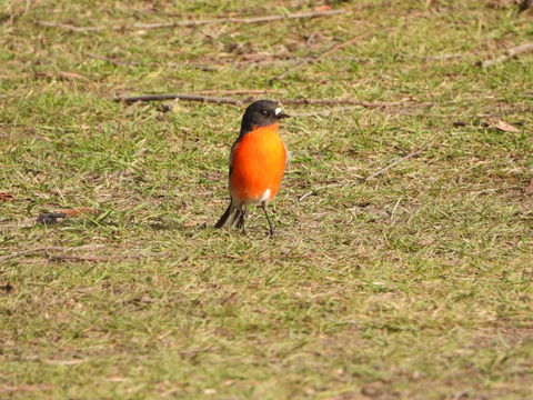 Gulkula2 Wildlife Retreat - Accommodation Fremantle 1