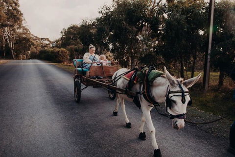 Gums N Roses By Tiny Away - Accommodation Fremantle 2