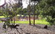 Harp Haven - Contemporary In Suburban Tree Lined Kew - thumb 1