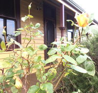 Albion Cottage - Accommodation Fremantle