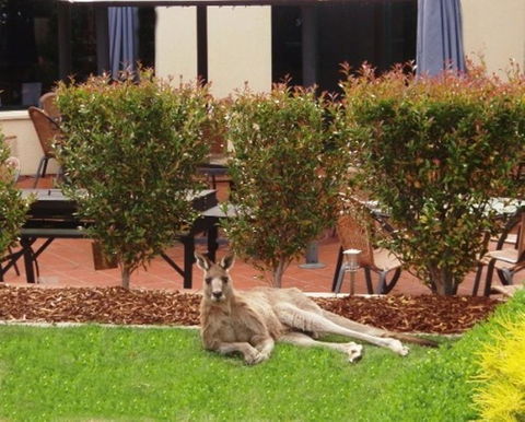 Alpha Hotel Canberra - Accommodation Fremantle 1