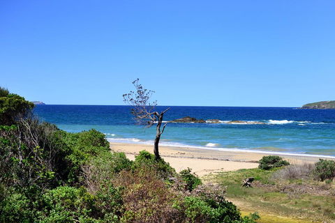 Aqualuna Beach Resort - Unit 25 - Accommodation Fremantle 3