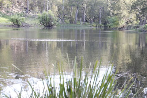 Arcadian Cabin - Southern Highlands River Retreat - Accommodation Fremantle 0