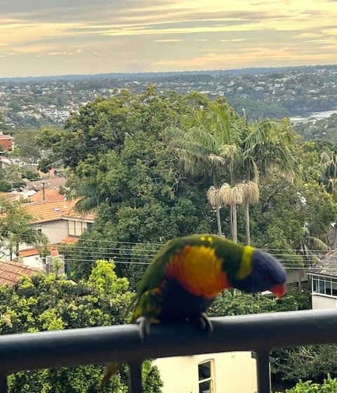 Mosman Views, 2bed, Parking, 15min Walk To Beach - Accommodation Fremantle 1