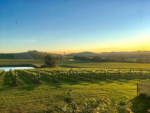 Mount Hope Estate Vineyard - Accommodation Fremantle 0