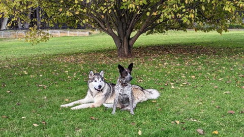 Mountain Culture Farm Stay - Pet Friendly - Accommodation Fremantle 2