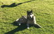 Mountain Culture Farm Stay - Pet Friendly - thumb 3
