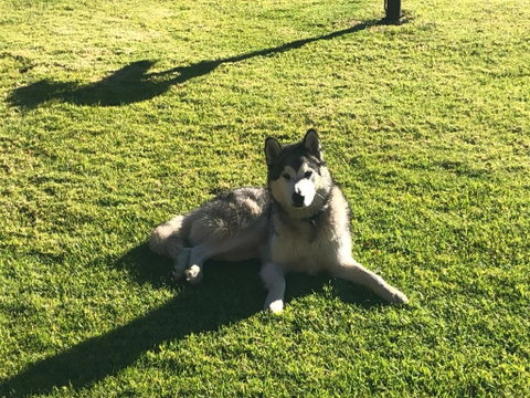 Mountain Culture Farm Stay - Pet Friendly - Accommodation Fremantle 3