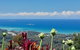 ON TOP Of THE WORLD Garden Studio - thumb 0
