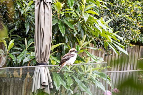 Quaint Queen Room - Central Location At Pymble - Shared Bathroom - Accommodation Fremantle 1