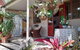 Quirky Cottage In Centre Of Maleny, Walk Everywhere - thumb 3