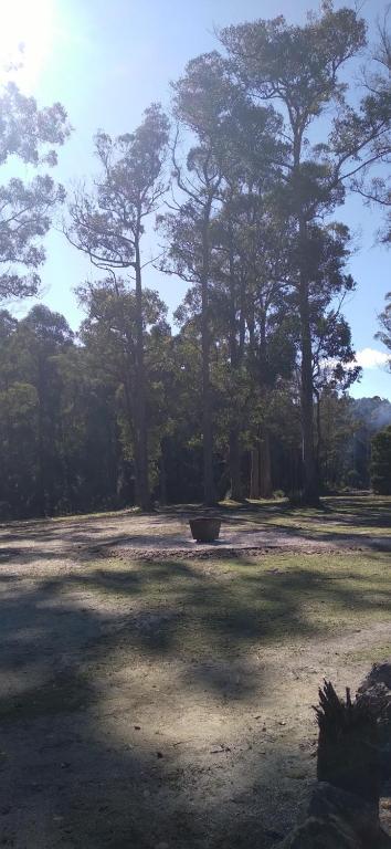 Rail Trail Retreat - Accommodation Fremantle 2
