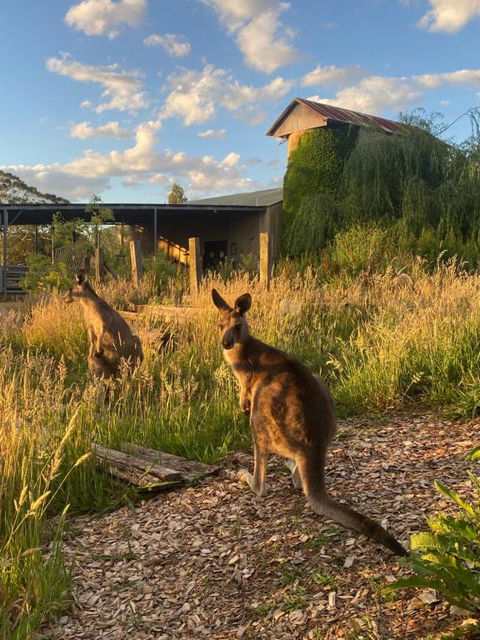 Private Country Escape With Valley Views - Accommodation Fremantle 2