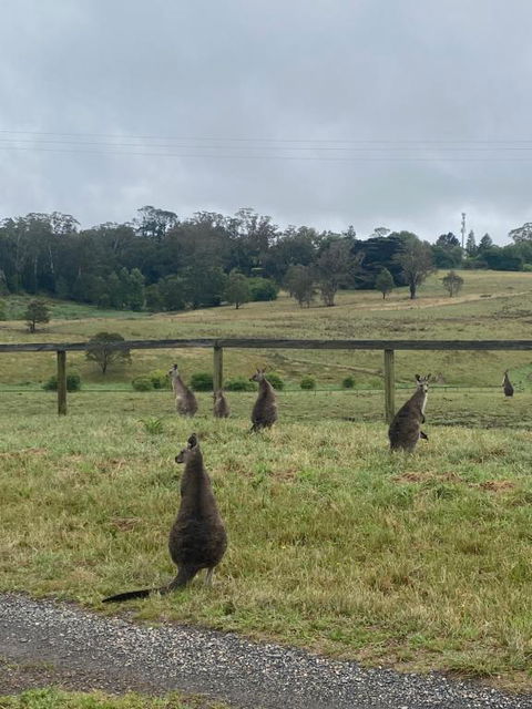 Private Country Escape With Valley Views - Accommodation Fremantle 1