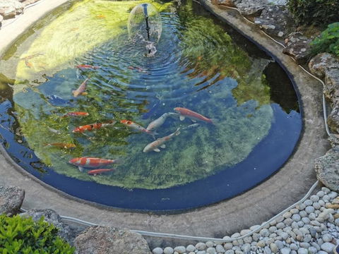 Attached Self Service Waterfront Whole Villa - Sydney - Accommodation Fremantle 2