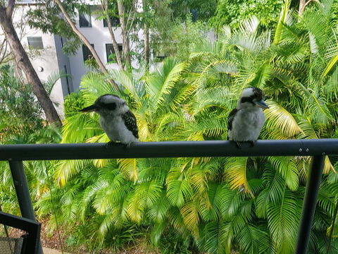 Baden 45 - Rainbow Shores, Beachside Unit, Aircon, Swimming Pool, Tennis Court - Accommodation Fremantle 3