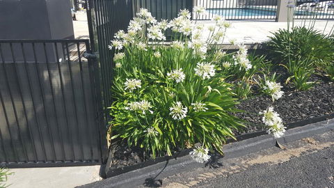 Bathurst Gold Panner - Accommodation Fremantle 1