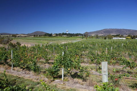 Riversdale Estate Cottages - Accommodation Fremantle 1