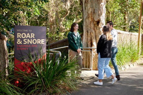 Roar And Snore - Accommodation Fremantle 1