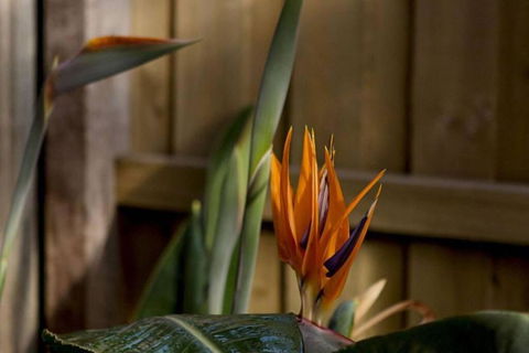 Rose Cottage - Accommodation Fremantle 1