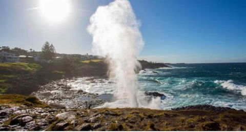 SALTY PALMS -Seaside Studio Apartment - Accommodation Fremantle 2