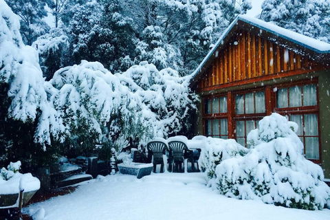 BEAUTIFUL RETREAT - 20 Mins To CBD And Only 10 Mins To MONA! - Accommodation Fremantle 0