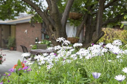 Bed And Breakfast In Perth - Accommodation Fremantle 1