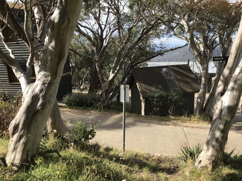Beehive 18 - Accommodation Fremantle 1
