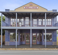 Blue Rosella On Piper - Accommodation Fremantle