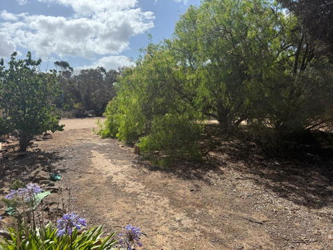 Woody House - Accommodation Fremantle 2
