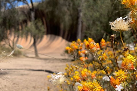 The Big Wave Rock (Private) Day Tour - Accommodation Fremantle 3