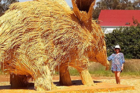 The Big Wave Rock (Private) Day Tour - Accommodation Fremantle 5