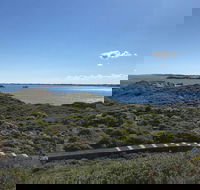 Penguin Island And Fremantle - Canoe Chocolate  Coffee - Accommodation Fremantle