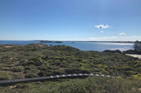 Penguin Island And Fremantle - Canoe Chocolate  Coffee, Perth