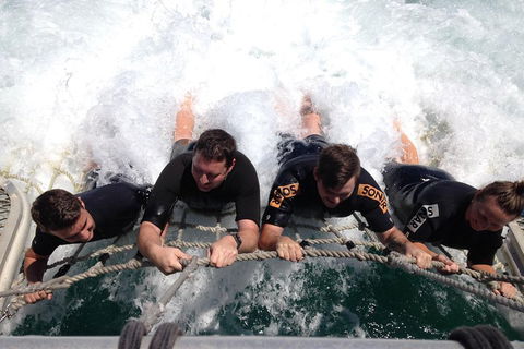 Cruise In Moreton Bay Marine Park And Moreton Island - Accommodation Fremantle 0