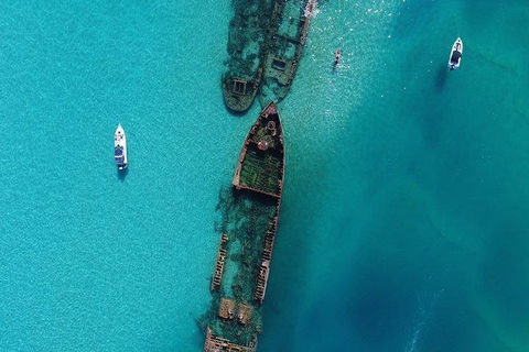 Cruise In Moreton Bay Marine Park And Moreton Island - Accommodation Fremantle 1