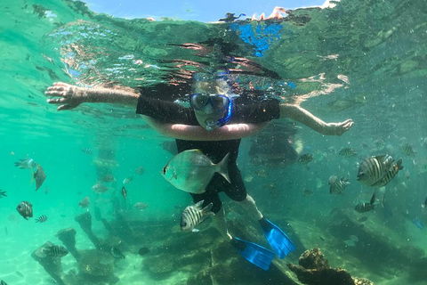 Cruise In Moreton Bay Marine Park And Moreton Island - Accommodation Fremantle 5