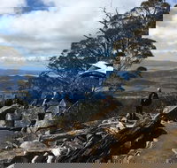 kunanyi / Mt Wellington Explorer Bus - 2 Hour Return Tour - Accommodation Fremantle