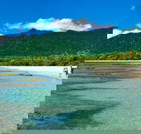 5-Day Best of Cairns with Daintree Kuranda and Great Barrier Reef - Accommodation Fremantle