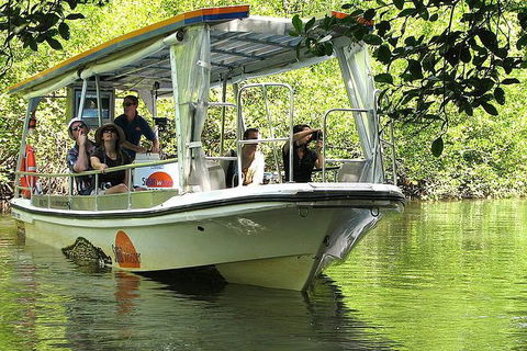 3-Day Best Of Cairns Combo: The Daintree Rainforest, Great Barrier Reef, And Kuranda - Accommodation Fremantle 4