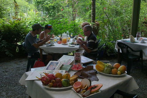 3-Day Best Of Cairns Combo: The Daintree Rainforest, Great Barrier Reef, And Kuranda - Accommodation Fremantle 5