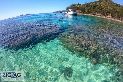 Whitehaven Beach Day Tour With Snorkel In Whitsundays Island - Accommodation Fremantle 5